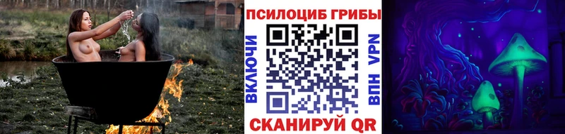 Псилоцибиновые грибы Psilocybine cubensis  OMG как зайти  Гай 