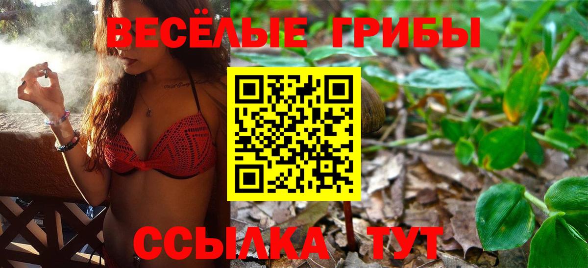 Псилоцибиновые грибы Cubensis Гай